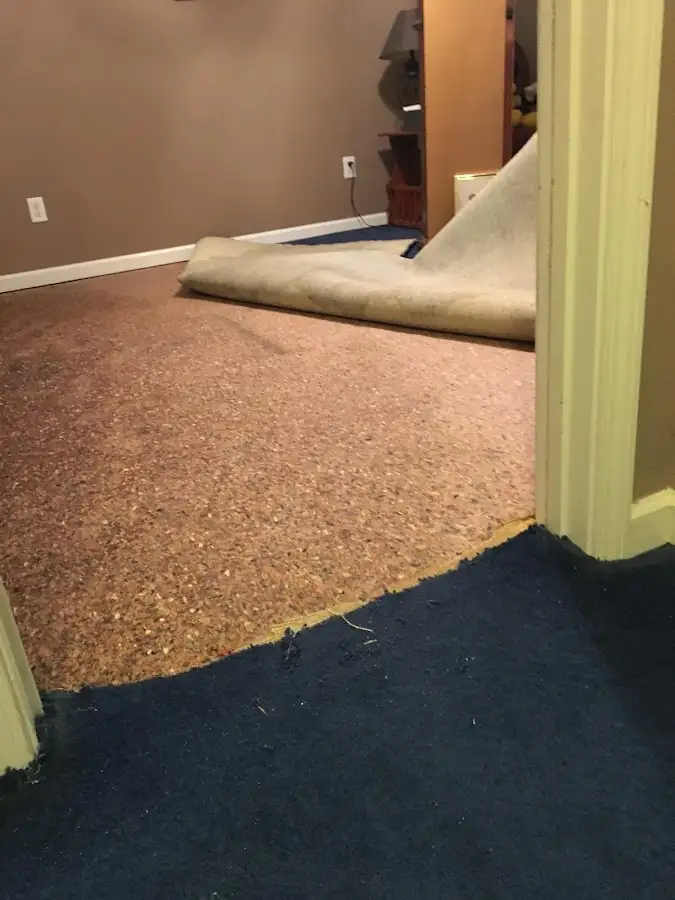 Carpet pad removal revealing water damage during Drying & Dehumidification in Jasmine Estates