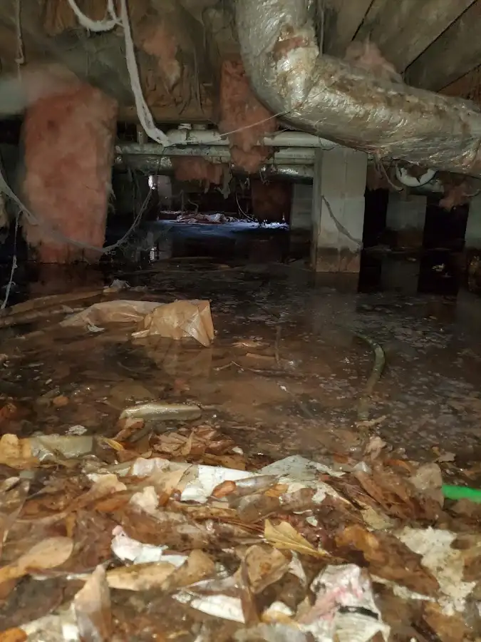 Crawl space flood assessment for Commercial Water Damage Restoration in Jasmine Estates