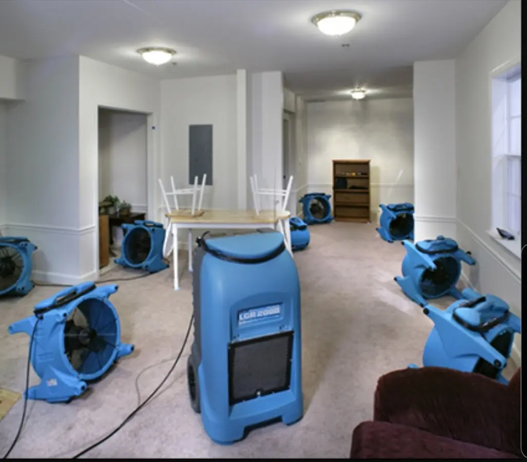 Air movers and dehumidifier setup for Water Extraction & Removal in Jasmine Estates