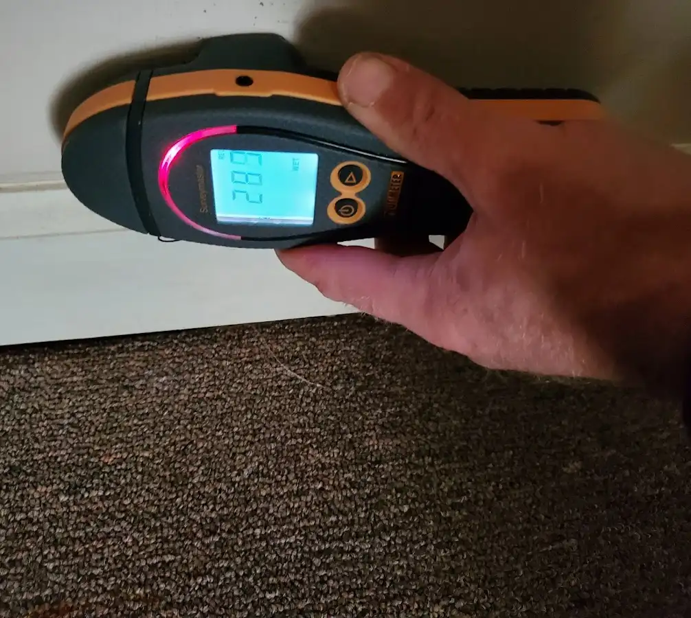 Moisture detection at baseboard during Sewage Cleanup & Sanitation in Jasmine Estates